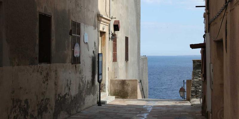 二胎家庭冲突解决指南：借鉴米奇学校日式教育，用非暴力沟通打造和谐亲子关系