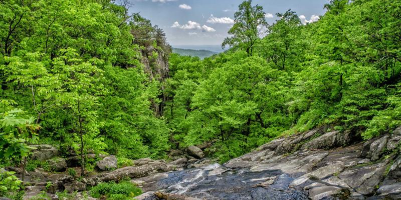 从启蒙到禅意：儿童教育的三重进阶之路