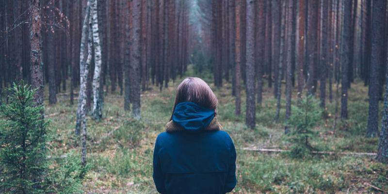 儿童教育新视角：当禅意教育融入早教培训，培养内心丰盈的孩子