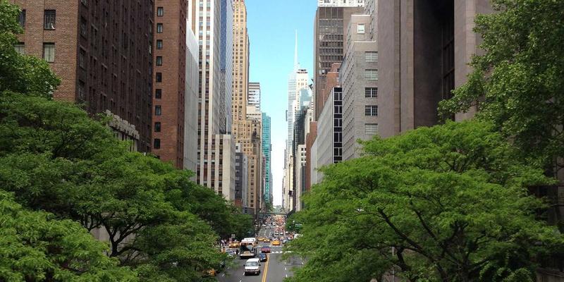 儿童教育新视野：米奇学校如何通过早教培训塑造未来