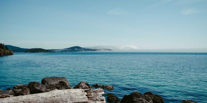 儿童教育是什么？从早教培训到禅意教育的多维解读