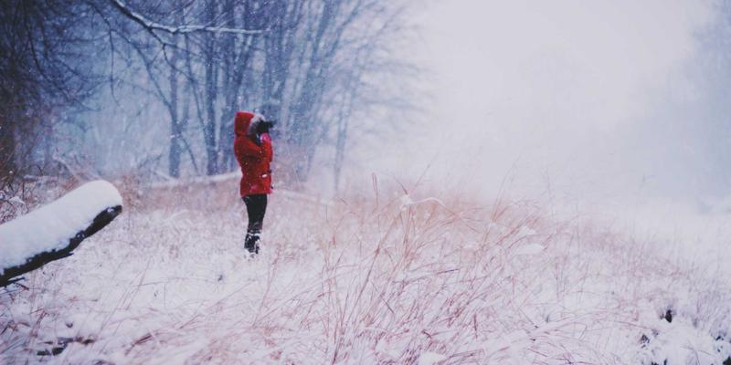 幼儿教育新探索：米奇学校如何用日式教育理念将二十四节气融入儿童生活