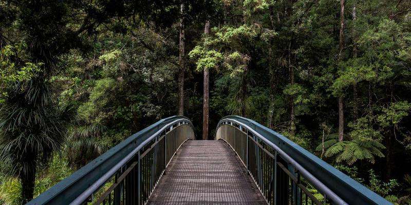 幼儿教育新篇章：米奇学校如何通过早教培训塑造儿童未来