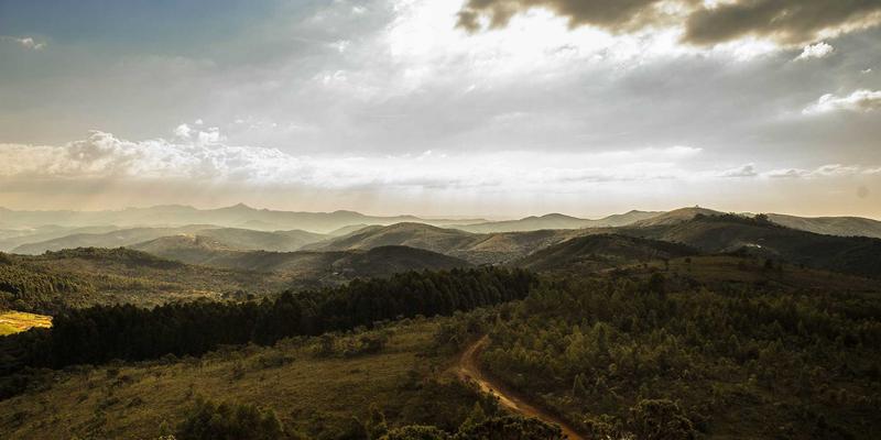 幼儿教育新视角:日式教育理念如何赋能儿童成长