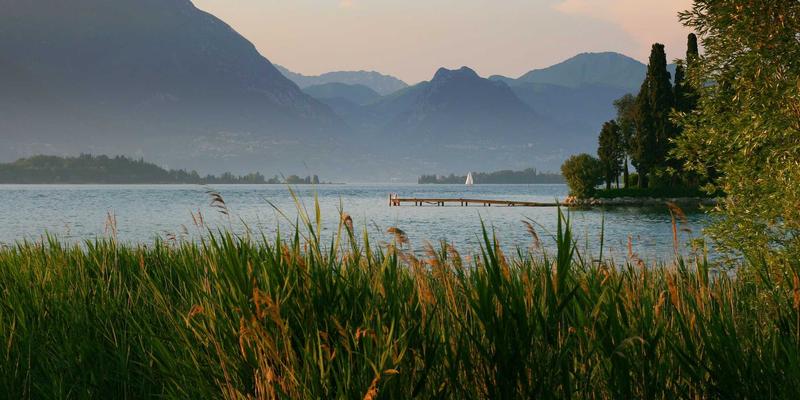 幼儿教育新视野:米奇学校如何重塑儿童教育模式