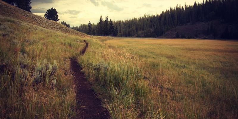 数字原住民时代的儿童信息素养教育：融合日式教育精髓，从媒介批判到网络安全