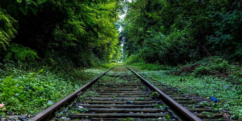 日式教育启示：用日常材料在家实践低成本STEAM儿童教育