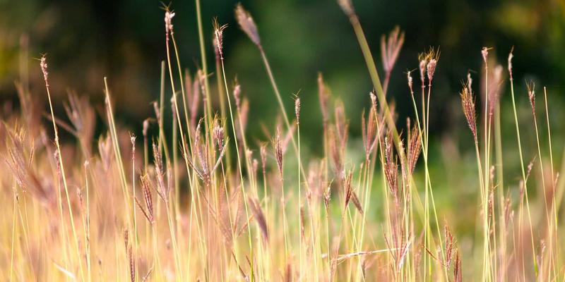日式教育智慧：米奇学校如何用视觉化工具训练儿童时间感知能力