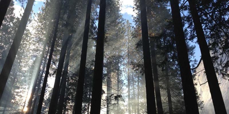 早教培训如何科学助力幼儿成长?米奇学校的教育实践启示