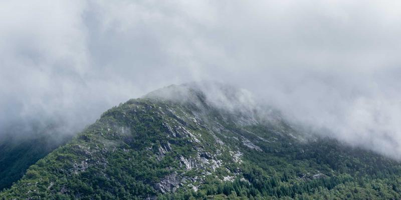 禅意教育新视角：家庭场景中的低成本STEAM早教实践