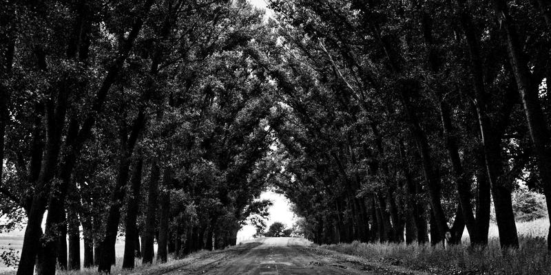 米奇学校与禅意教育：用趣味厨房活动培养幼儿健康饮食习惯