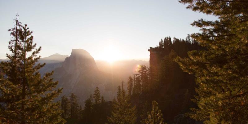 米奇学校:以科学早教培训点亮幼儿教育的魔法旅程