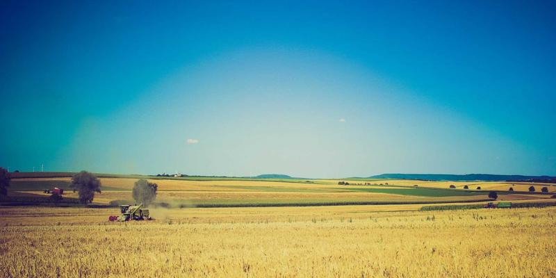 米奇学校：当儿童教育遇见禅意智慧，培育内心丰盈的未来之星