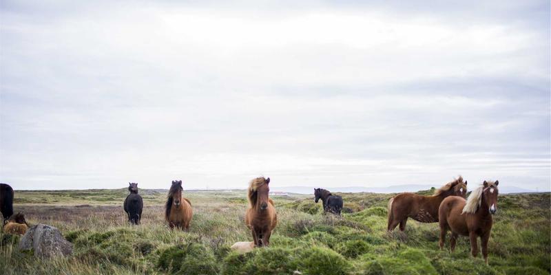 米奇学校：当禅意教育融入幼儿成长，开启智慧童年的三重维度