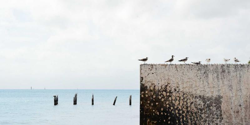 融合日式教育与禅意智慧的亲子共读指南：绘本选择技巧与深度互动方法